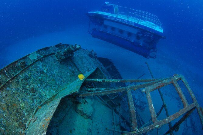 Mauritius Unique Submarine Tour - Who should book this tour?