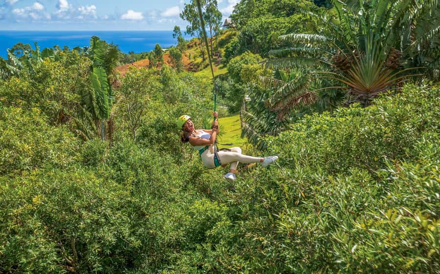 Mauritius: Vallé Advenature Park - Adventure Tour Zipline - What happens from arrival to the first platform