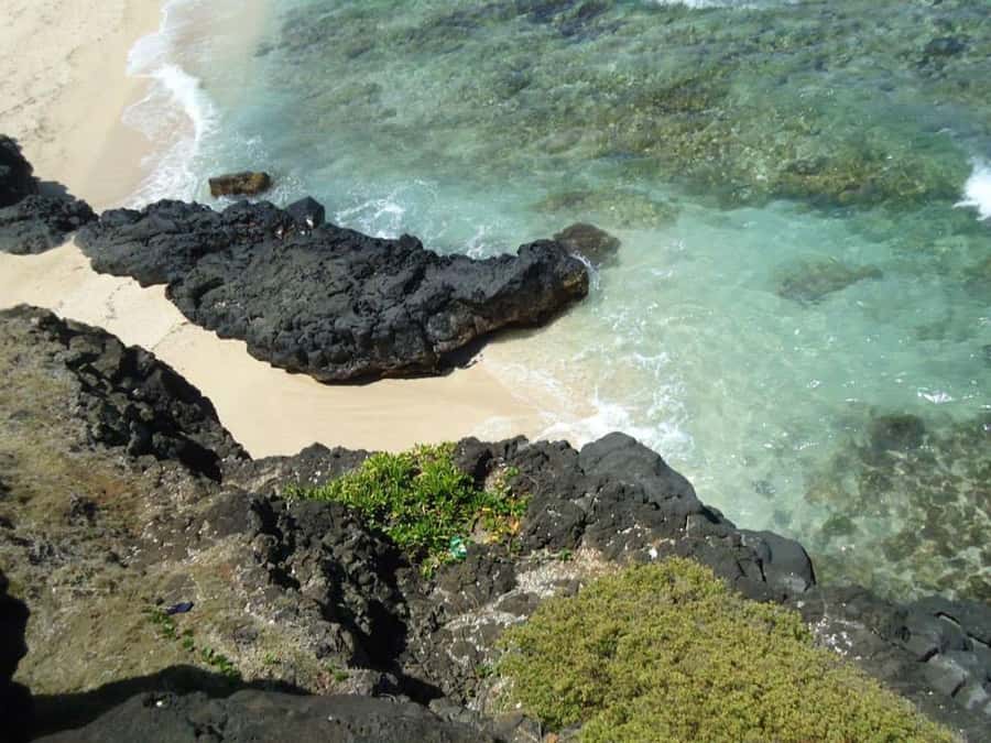 Mauritius: Vanilla Park & Beaches Tour with Extra Option - Key points to know before booking