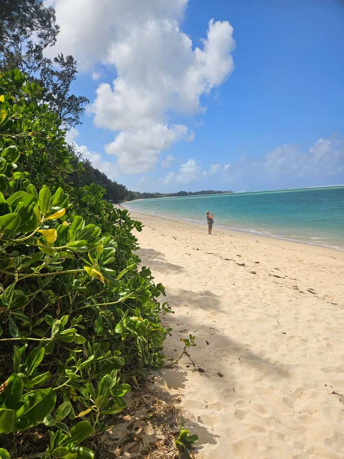 Mauritius: Vanilla Park & Beaches Tour with Extra Option - FAQ