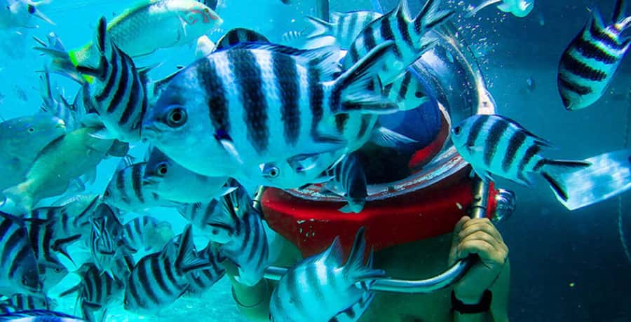 Mauritius: Watersport Adventure Day with Lunch and Pickup - Lunch keeps the day practical