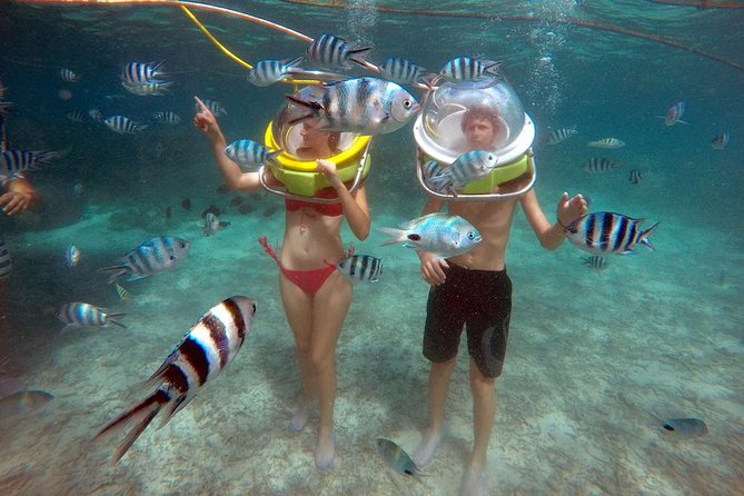 Mesmerizing Ile aux Cerf: Speed Boat, GRSE, Lunch & Undersea walk (Full Day) - Racing across the east coast lagoon