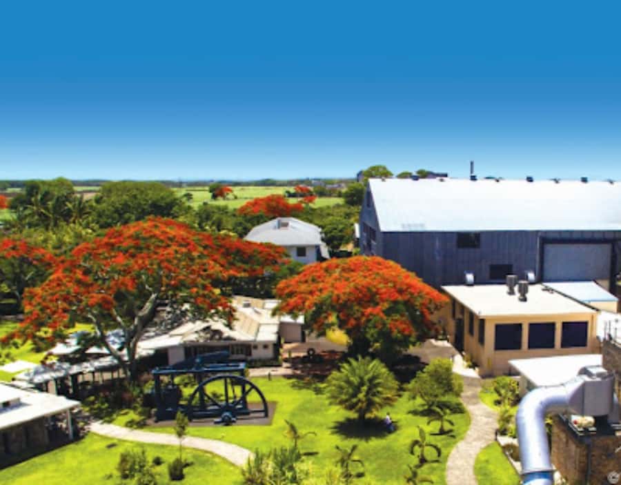 North Day Tour, Botanical Garden, Sugar Museum, Rum Tasting - L’Aventure du Sucre and the island’s difficult past