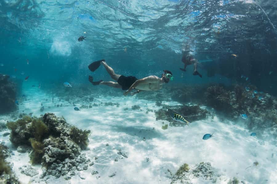 North East of Mauritius: Catamaran Cruise w/ BBQ Lunch - Bernaches Island from 1:00 pm to 2:30 pm