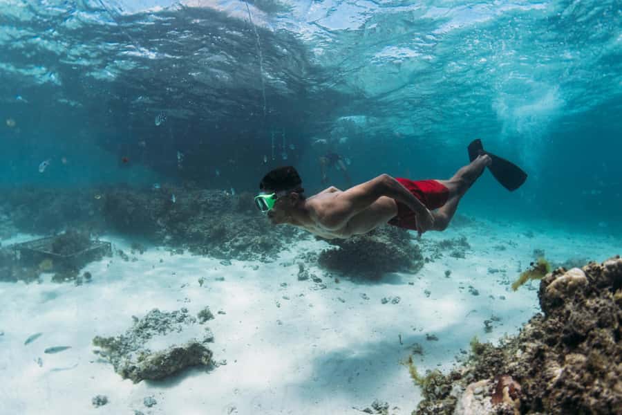 North East of Mauritius: Catamaran Cruise w/ BBQ Lunch - What the $80 price really covers