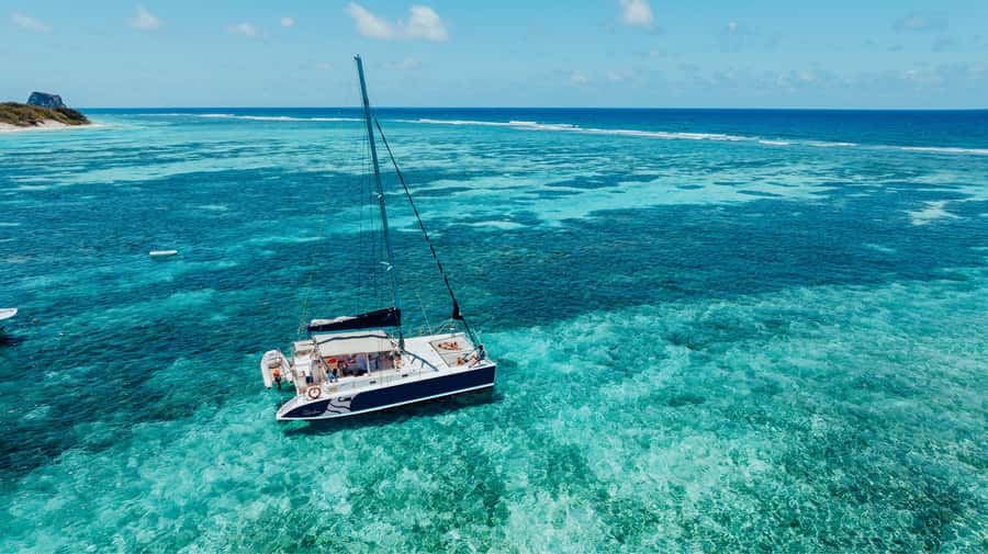 North of Mauritius: Catamaran Cruise w/ BBQ Lunch - Coin de Mire and the Paille en Queue birds