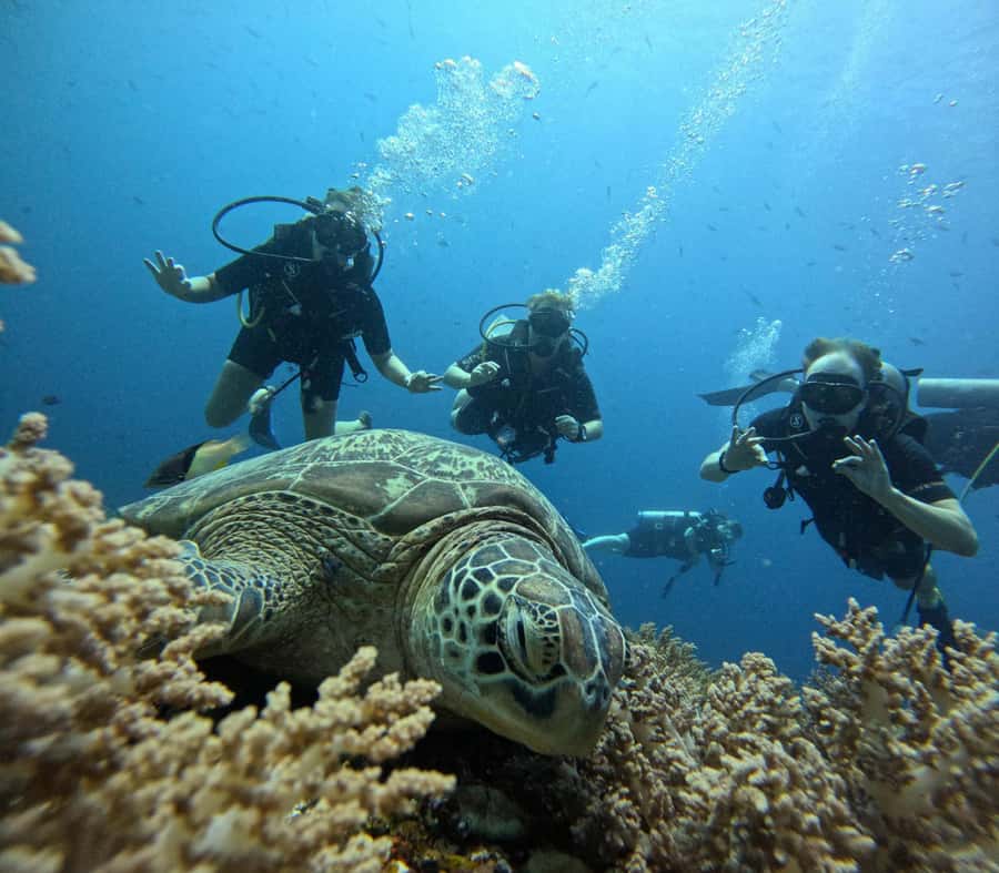 North of Mauritius: Scuba Diving Tour - Key details before you book