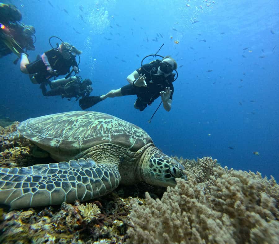 North of Mauritius: Scuba Diving Tour - The boat ride and safety briefing