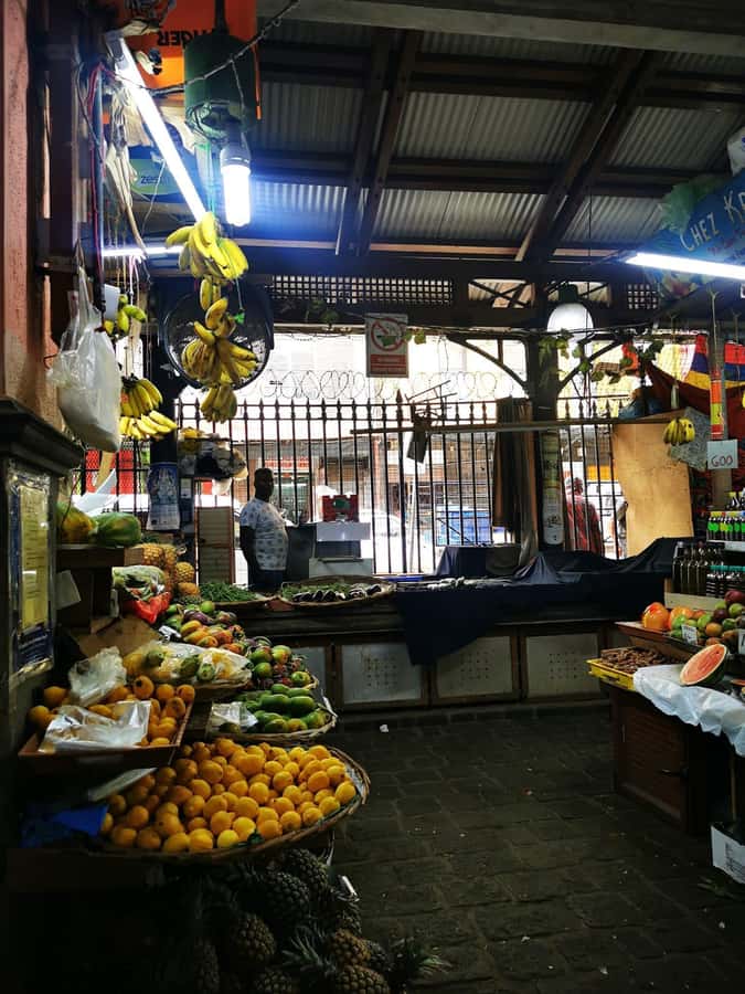 North Tour Of Mauritius With Street Food tasting - North beaches and open sea views
