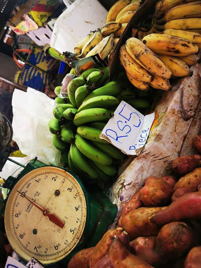 North Tour Of Mauritius With Street Food tasting - What the guide adds to the experience