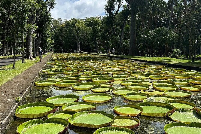 Northern Mauritius Private Tour w/ Port louis Market and Beaches - Port Louis: fortress views and the central market