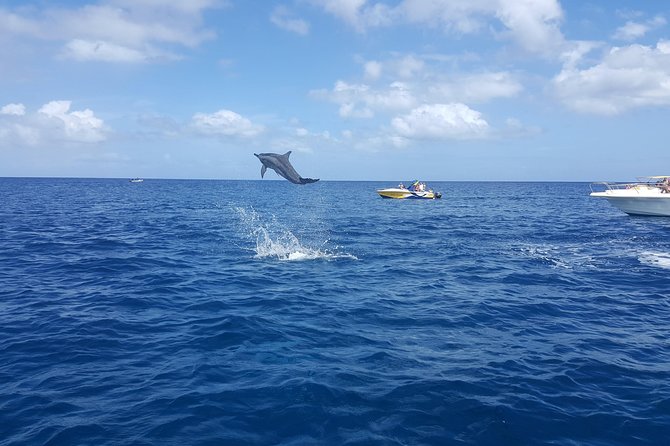 Ocean Swim with Dolphins - Barbecue lunch at Le Morne Beach