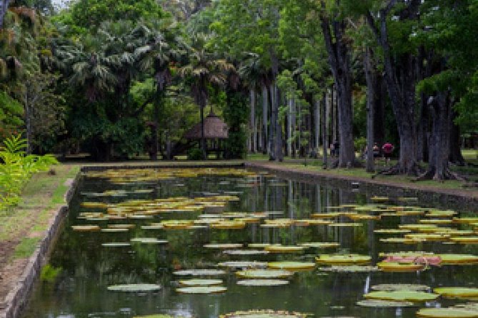 Port Louis and Pamplemousses Garden - A full day trip - L’Aventure du Sucre and the island’s sugar story