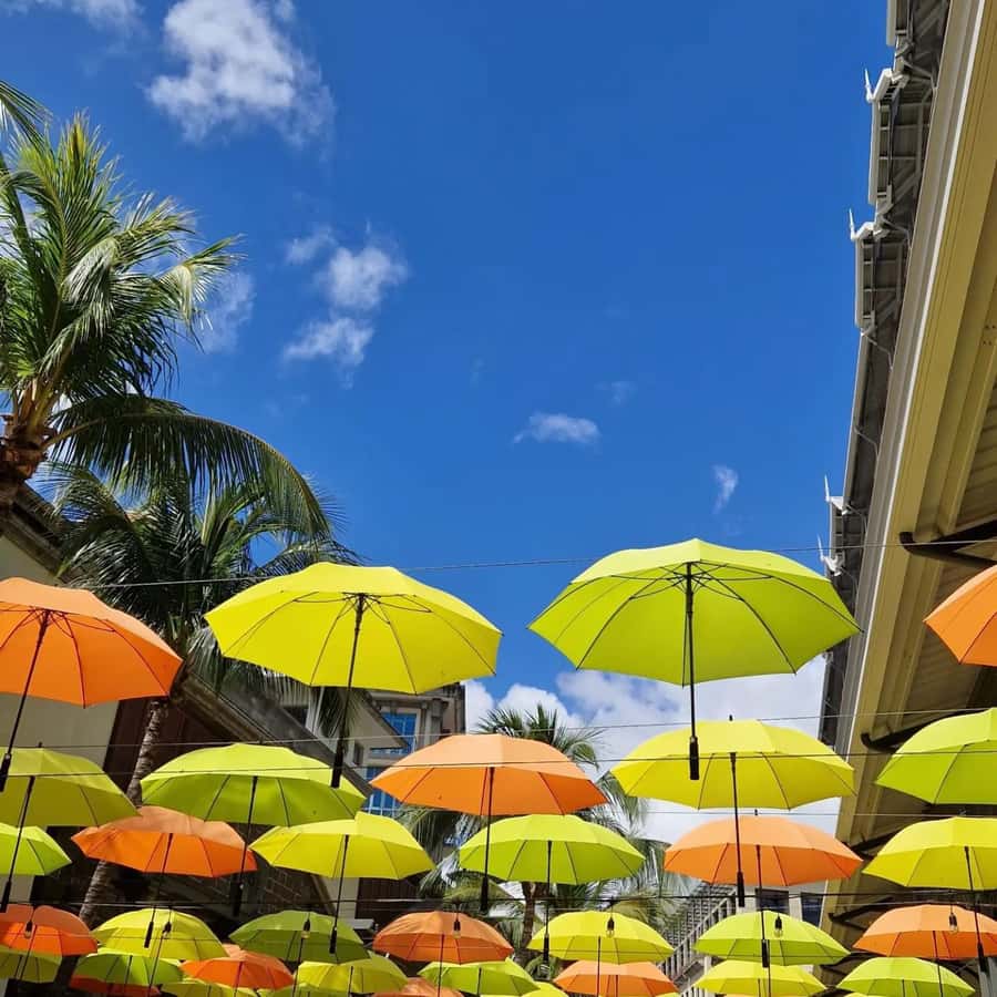 Port Louis: City Tour with Street Food Tasting - A full-day introduction to Port Louis