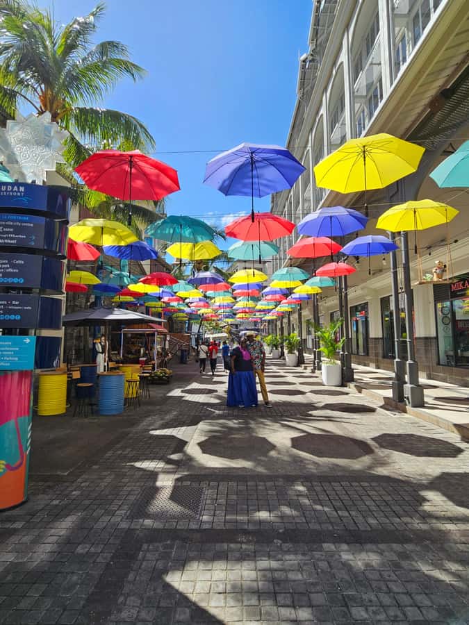 Port Louis: Mont Choisy, Botanical Garden, and Church Tour - Starting in Port Louis: market, waterfront, and Fort Adelaide