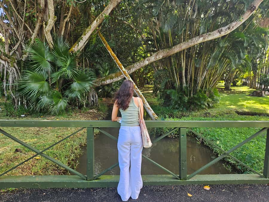 Port Louis: Mont Choisy, Botanical Garden, and Church Tour - What the private car and guide add