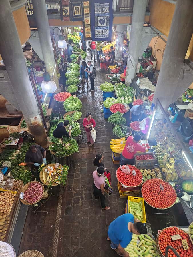 Port Louis: Mont Choisy, Botanical Garden, and Church Tour - Who should book it, and who should skip it?