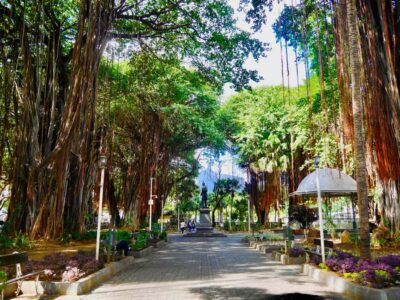 Street Eats and City Highlights Walking Tour