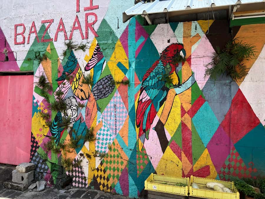 Port Louis: Street Food & City Tour - Who will enjoy this Port Louis food tour