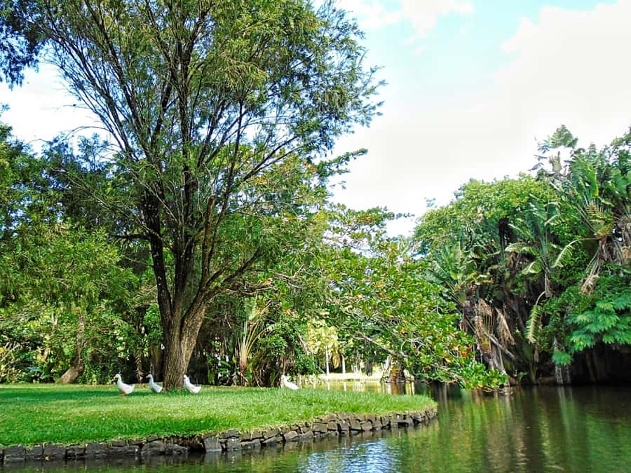 Private All Inclusive North Tour with Lunch & Entrance Fees - Key points at a glance