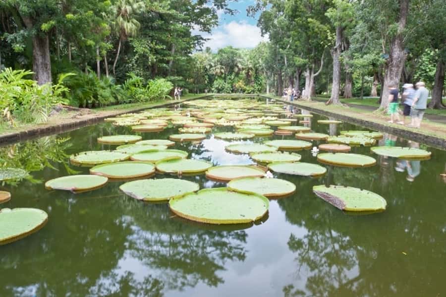 Private All Inclusive North Tour with Lunch & Entrance Fees - Sugar, rum, and Mauritius at L’Aventure du Sucre