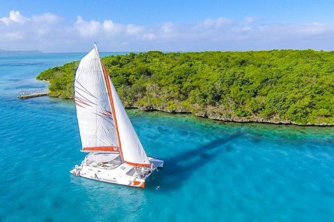 Private Charter Full Day Cruise: Île aux Cerfs - Sailing Island Hopper for seven hours
