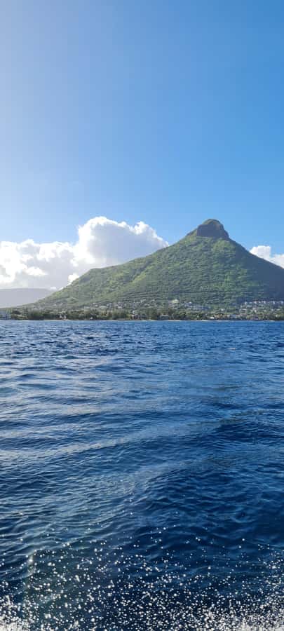 Private Dolphin Snorkeling Tour. Equipment available Free. - The guides: Alibaba and Jean Luc