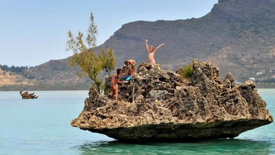 Private Dolphin Swim/Snorkeling & Lunch on Benitiers island - Key points at a glance