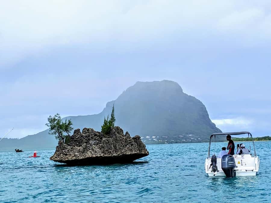 Private Dolphin Swim/Snorkeling & Lunch on Benitiers island - Crystal Rock with Le Morne in view