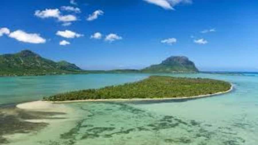 Private Dolphin Swim/Snorkeling & Lunch on Benitiers island - A seven-hour rhythm that feels full