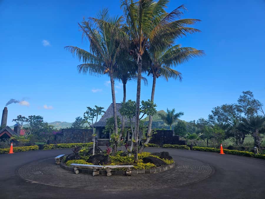 PRIVATE FULL-DAY NORTH AND SOUTH TOUR - Chamarel Waterfall and the Seven Coloured Earth