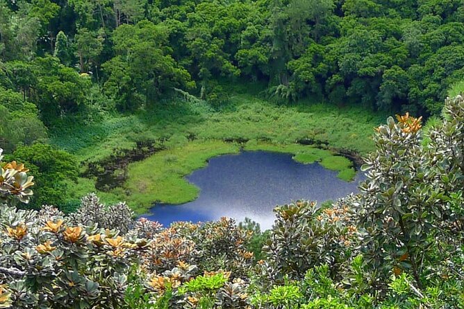 Private Full Day Tour in Mauritius - Grand Bassin, also called Ganga Talao