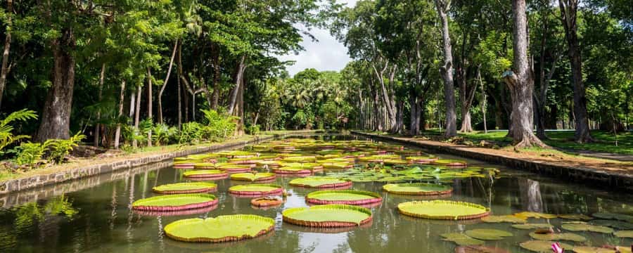 Private Full Day Tour of Port Louis and Northern - A full day from Port Louis to the northern coast
