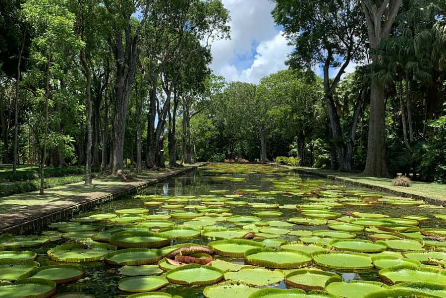 Private Full Day Tour of Port Louis and Northern - Timing, comfort, and what to pack