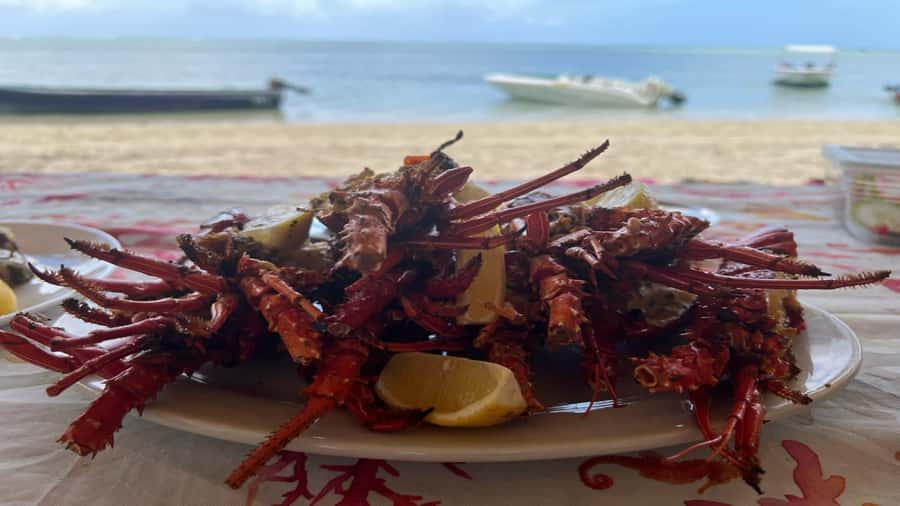 Private Île aux Bénitiers Boat: Dolphin Snorkeling & Lobster - The parts I would weigh most carefully