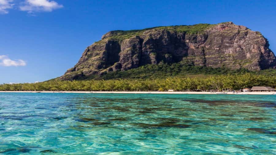 Private Île aux Bénitiers Boat: Dolphin Snorkeling & Lobster - Should you book this private Île aux Bénitiers tour?