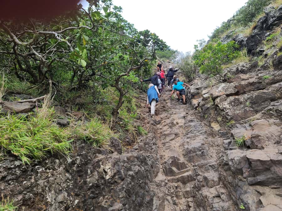 PRIVATE LeMorne Mountain Picturesque Hike-UNESCO Recognised - Fitness, clothing, and water