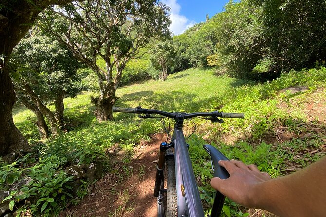 Private Mountain Biking Experience in the Wild South of Mauritius - Why this private bike park is different