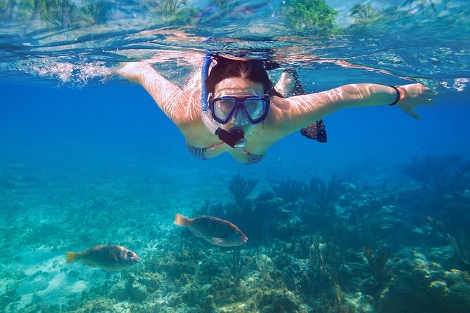 Private speed boat to Ile aux Cerfs full-day Incl: Lunch & Transfer - Four hours on Ile aux Cerfs