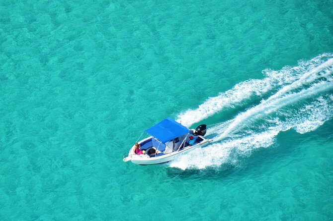 Private Speed Boat Tour and Dolphin Encounter at Ile aux Benitier - Tamarin Bay and the dolphin encounter