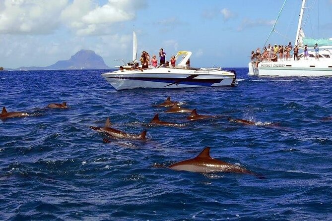 Private Speed Boat Tour and Dolphin Encounter at Ile aux Benitier - What the $312.02 price really covers
