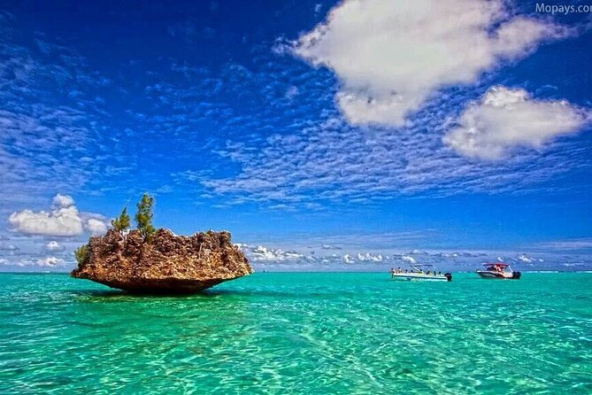 Private Speed Boat Tour and Dolphin Encounter at Ile aux Benitier - Who will enjoy this private boat day