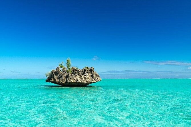 Private Speed Boat Tour and Dolphin Encounter at Ile aux Benitier - Should you book the Ile aux Benitiers dolphin tour?