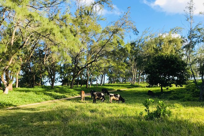 Quad Excursion South Mauritius 35km - Dust, swimming, and what to pack