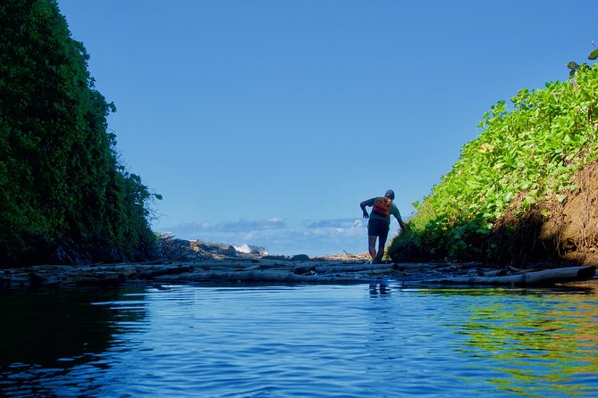 Randonnée - Le Sud Sauvage - Rivers, Natural Pools, and Waterfalls Along the Route