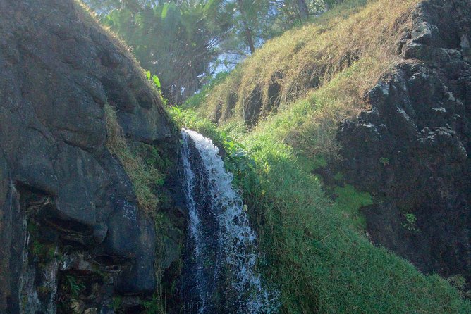 Randonnée - Le Sud Sauvage - What Guide Mathieu Adds to the Walk
