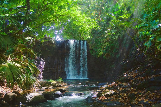 Randonnée - Le Sud Sauvage - A Three-Hour Experience With a Clear Focus