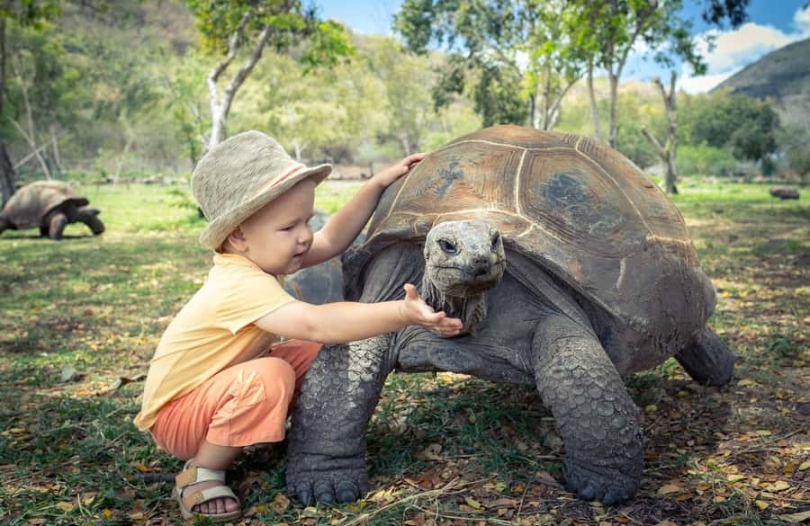 Riambel: South Tour w/ Crocodile Park & Seven Colored Earth - A southern Mauritius tour with a lot packed into one day