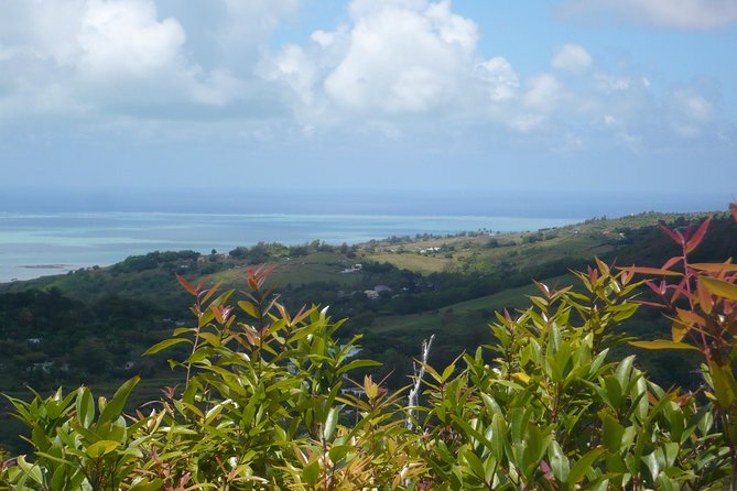Rodrigues Island - ORIGINE Guided Tour - Port Mathurin, where the island’s story begins