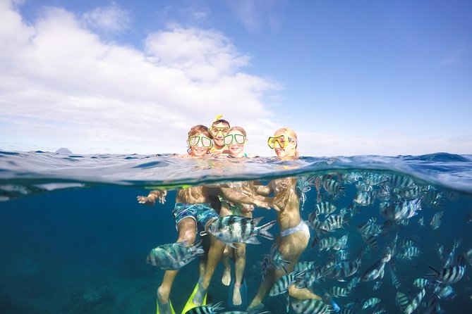 Sailing Catamaran Cruises - What makes this Mauritius catamaran cruise appealing